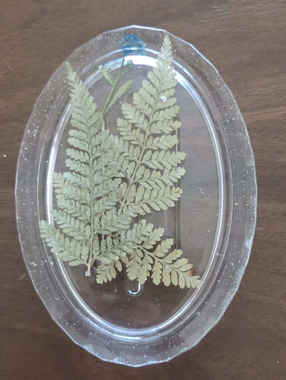 Oval Nature Themed  Soap Dish - Clear  with Green Leaves/Blue Flower